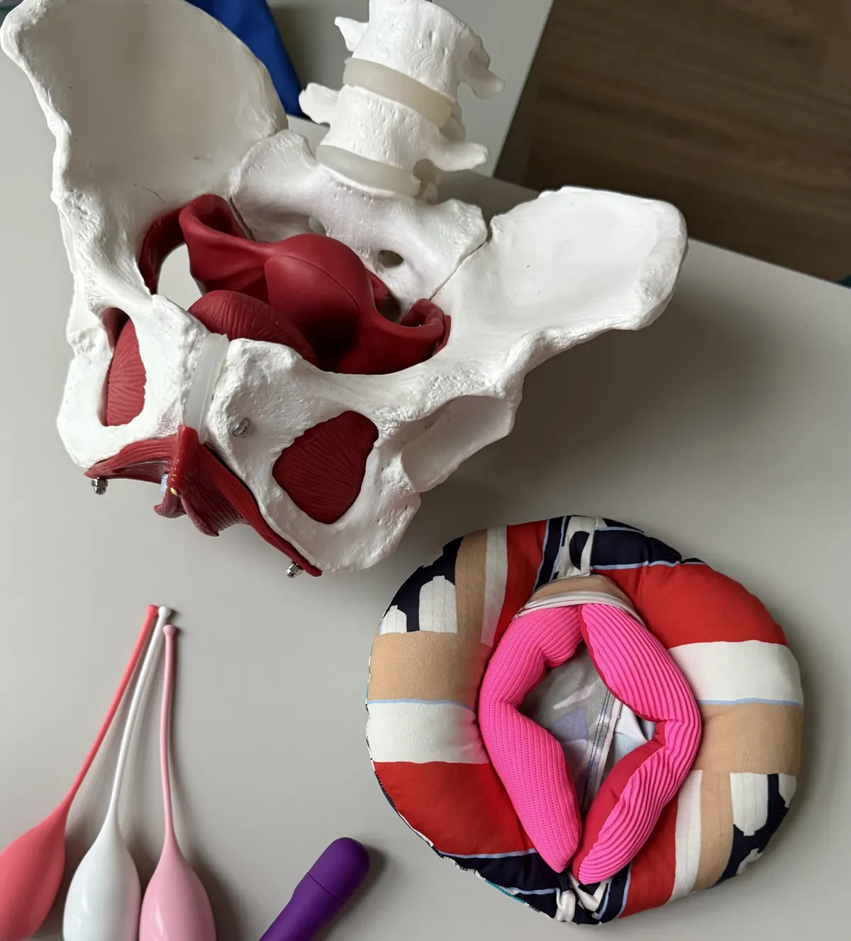 Strumenti per la riabilitazione del pavimento pelvico: modello anatomico del bacino, coni vaginali e cuscino educativo